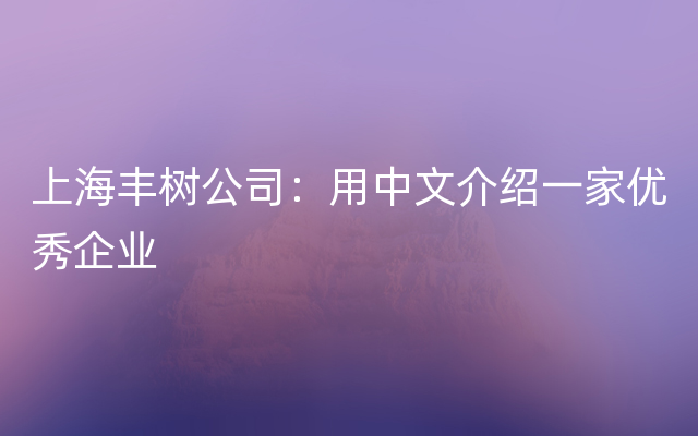 上海丰树公司：用中文介绍一家优秀企业