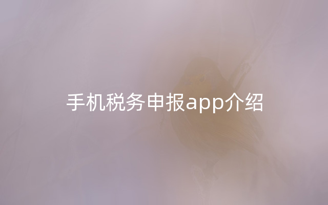 手机税务申报app介绍