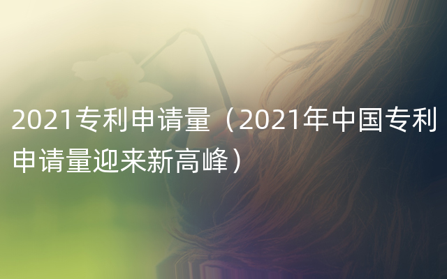 2021专利申请量（2021年中国专利申请量迎来新高峰）