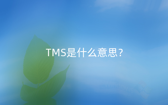 TMS是什么意思？