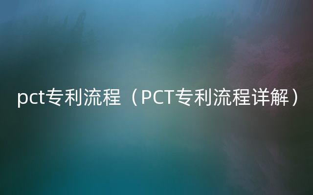 pct专利流程（PCT专利流程详解）