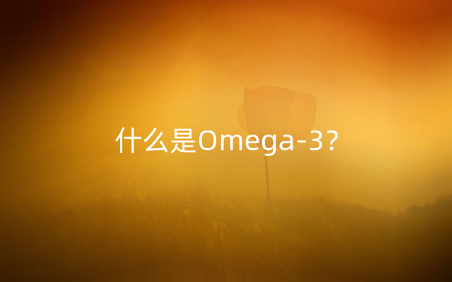 什么是Omega-3？