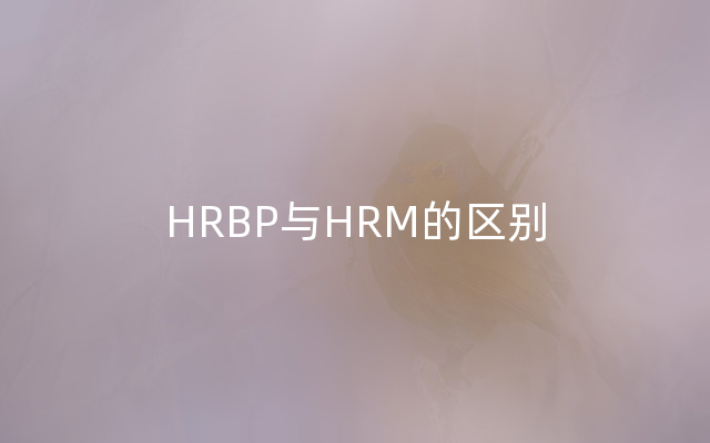 HRBP与HRM的区别