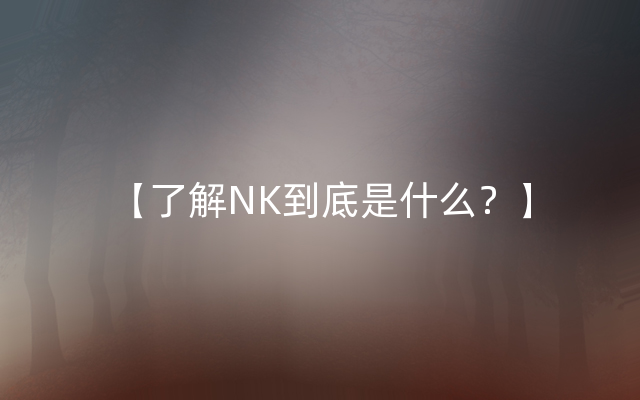 【了解NK到底是什么？】