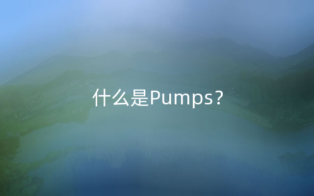 什么是Pumps？