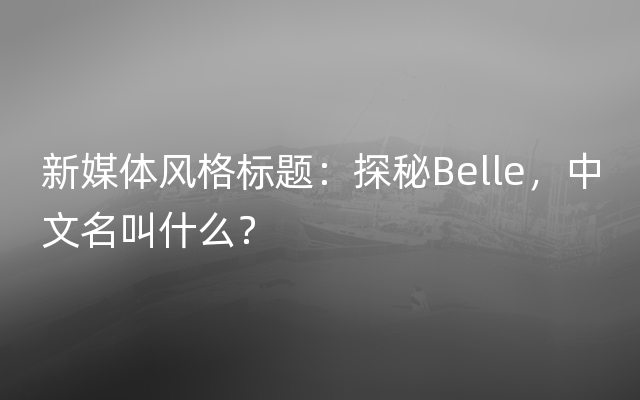 新媒体风格标题：探秘Belle，中文名叫什么？