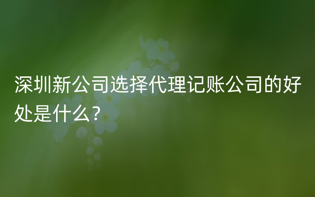 深圳新公司选择代理记账公司的好处是什么？