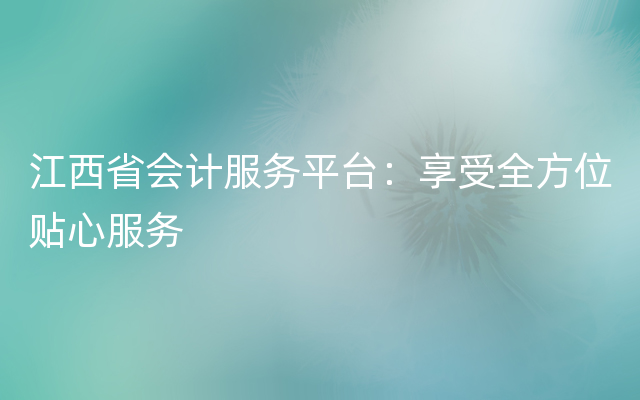 江西省会计服务平台：享受全方位贴心服务