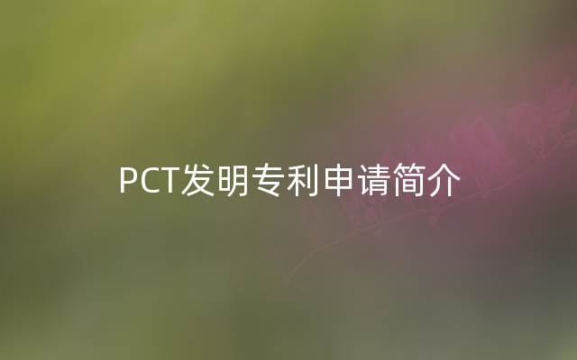 PCT发明专利申请简介