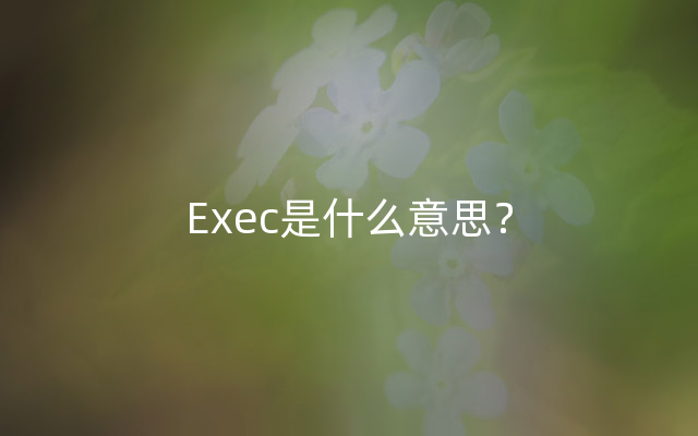 Exec是什么意思？