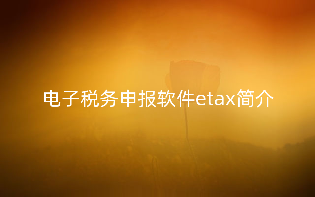 电子税务申报软件etax简介