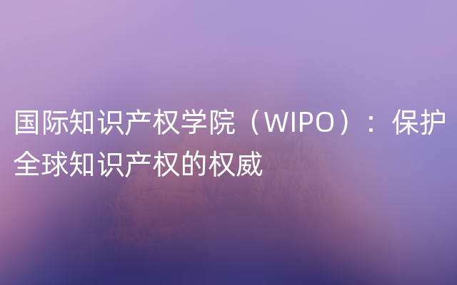 国际知识产权学院（WIPO）：保护全球知识产权的权威