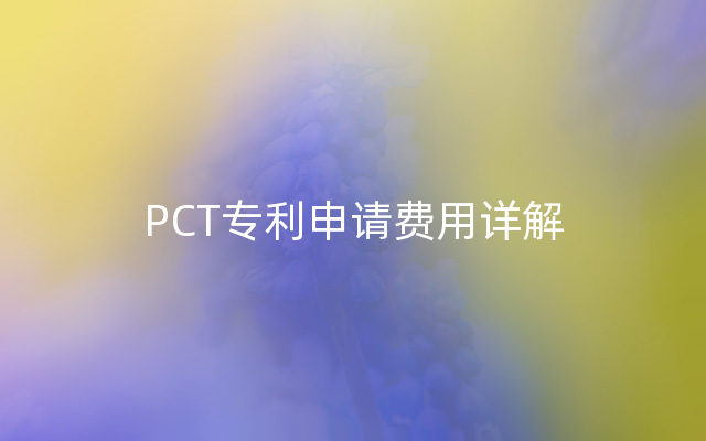PCT专利申请费用详解