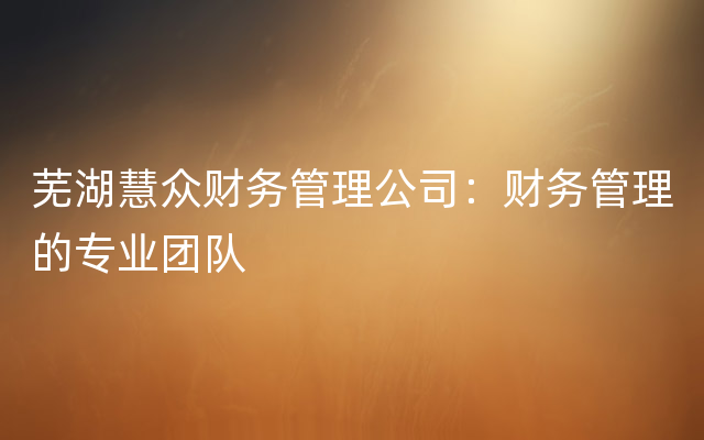 芜湖慧众财务管理公司：财务管理的专业团队