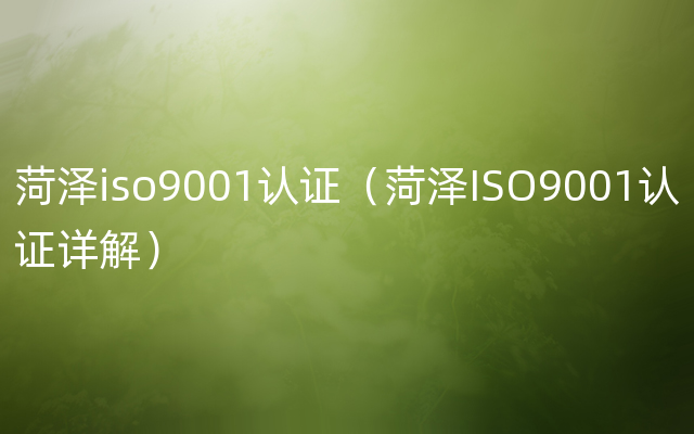 菏泽iso9001认证（菏泽ISO9001认证详解）