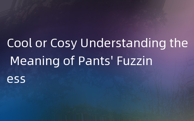 Cool or Cosy Understanding the Meaning of Pants' Fuzziness