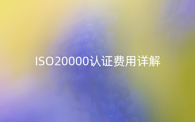 ISO20000认证费用详解