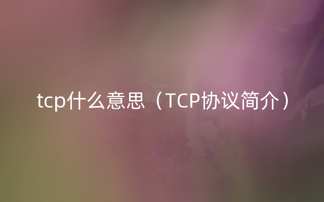 tcp什么意思（TCP协议简介）