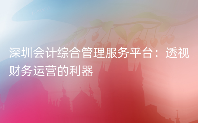 深圳会计综合管理服务平台：透视财务运营的利器
