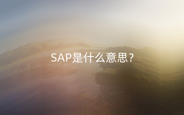 SAP是什么意思？