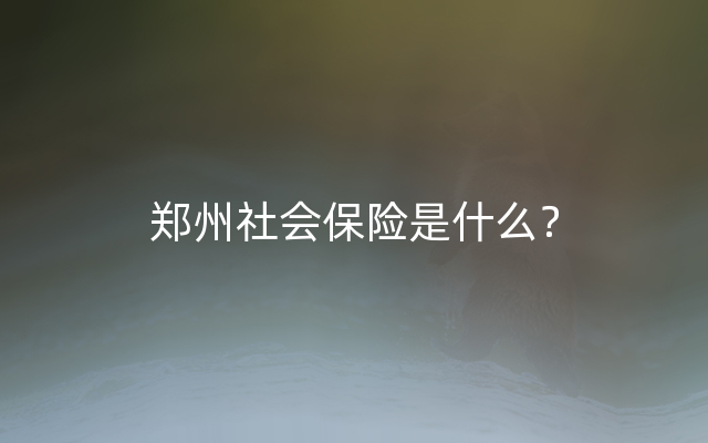 郑州社会保险是什么？