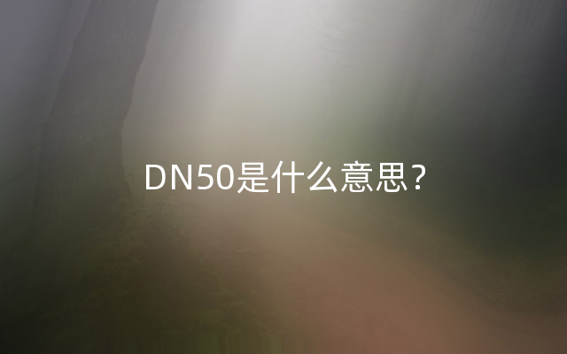 DN50是什么意思？