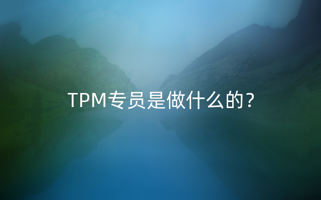 TPM专员是做什么的？