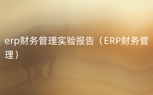 erp财务管理实验报告（ERP财务管理）