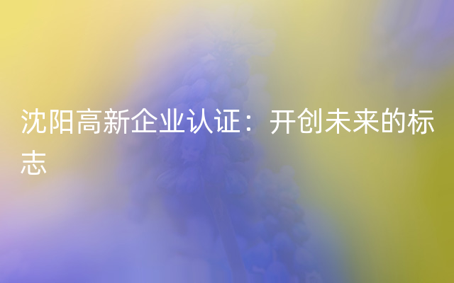 沈阳高新企业认证：开创未来的标志