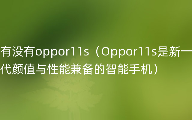有没有oppor11s（Oppor11s是新一代颜值与性能兼备的智能手机）