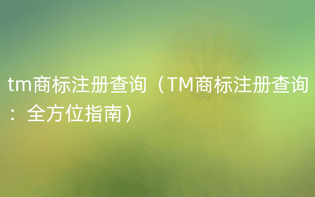 tm商标注册查询（TM商标注册查询：全方位指南）